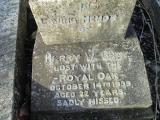 image of grave number 363825